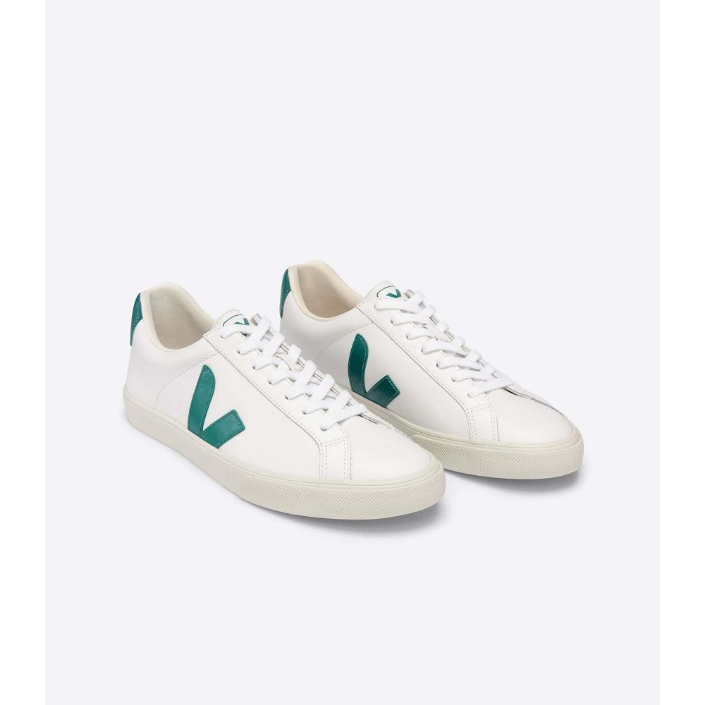 Veja ESPLAR LEATHER Men's Sneakers White/Green | CA 305ZUT